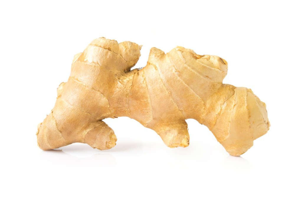 Ginger Root | Clear Probiotics