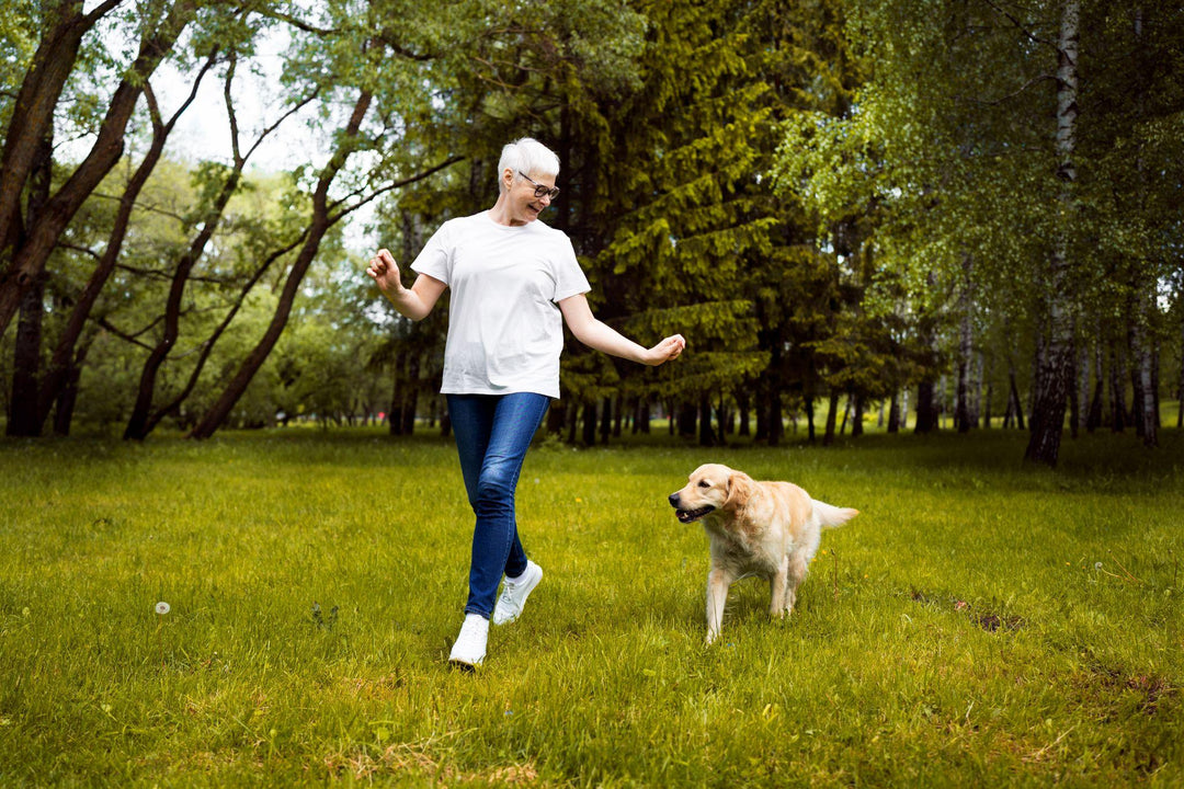 Senior dog walking on a park path with its owner, representing support for joint health in aging dogs
