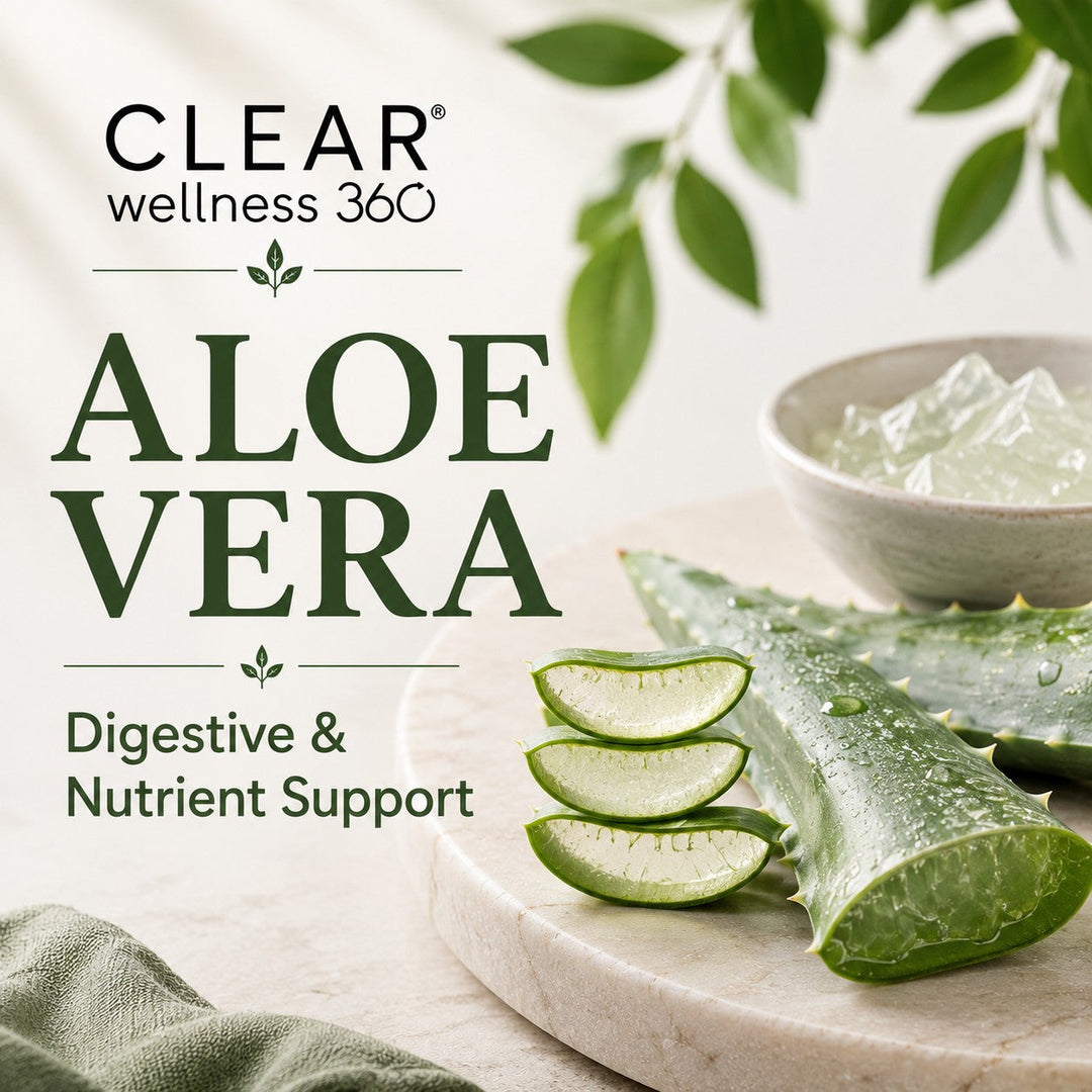 Aloe vera gel extract, a natural nutrient absorption enhancer shown to boost vitamin C and E bioavailability