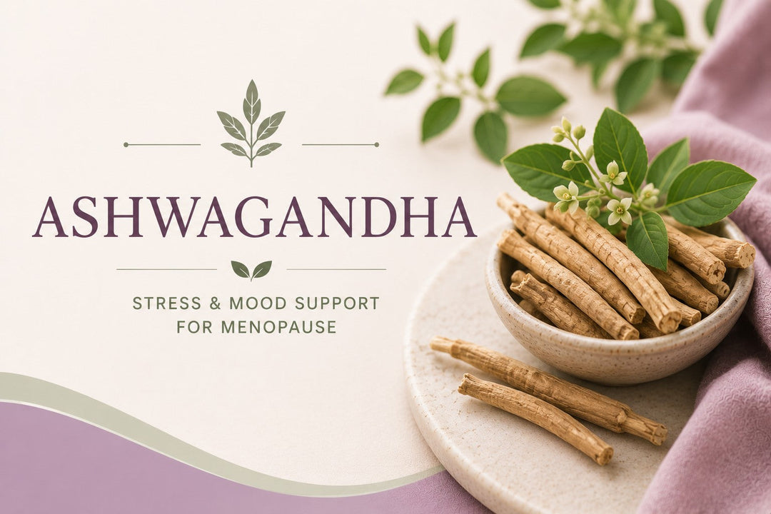 Ashwagandha root, the adaptogenic herb studied for cortisol and HPA axis support during menopause
