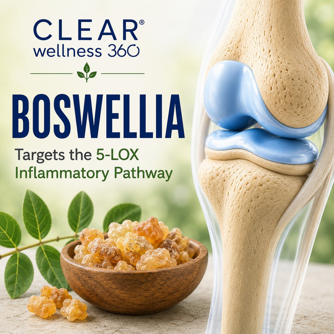 Boswellia serrata 5-LOX inhibitor supporting joint inflammation relief in Clear Wellness 360 joint supplement