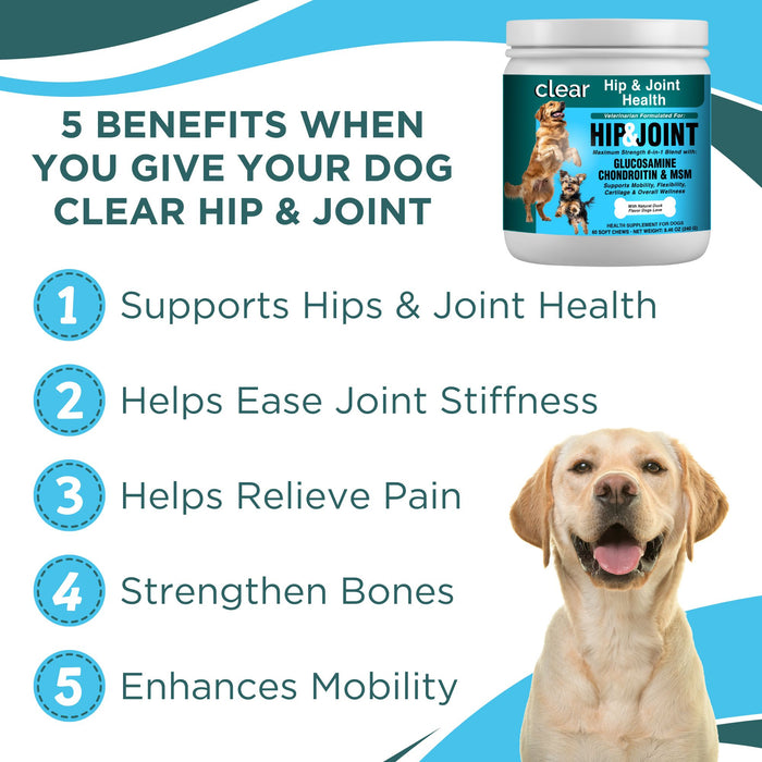 Clear Hip & Joint Health for Dogs