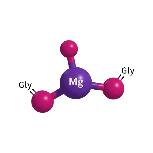 Magnesium Bisglycinate