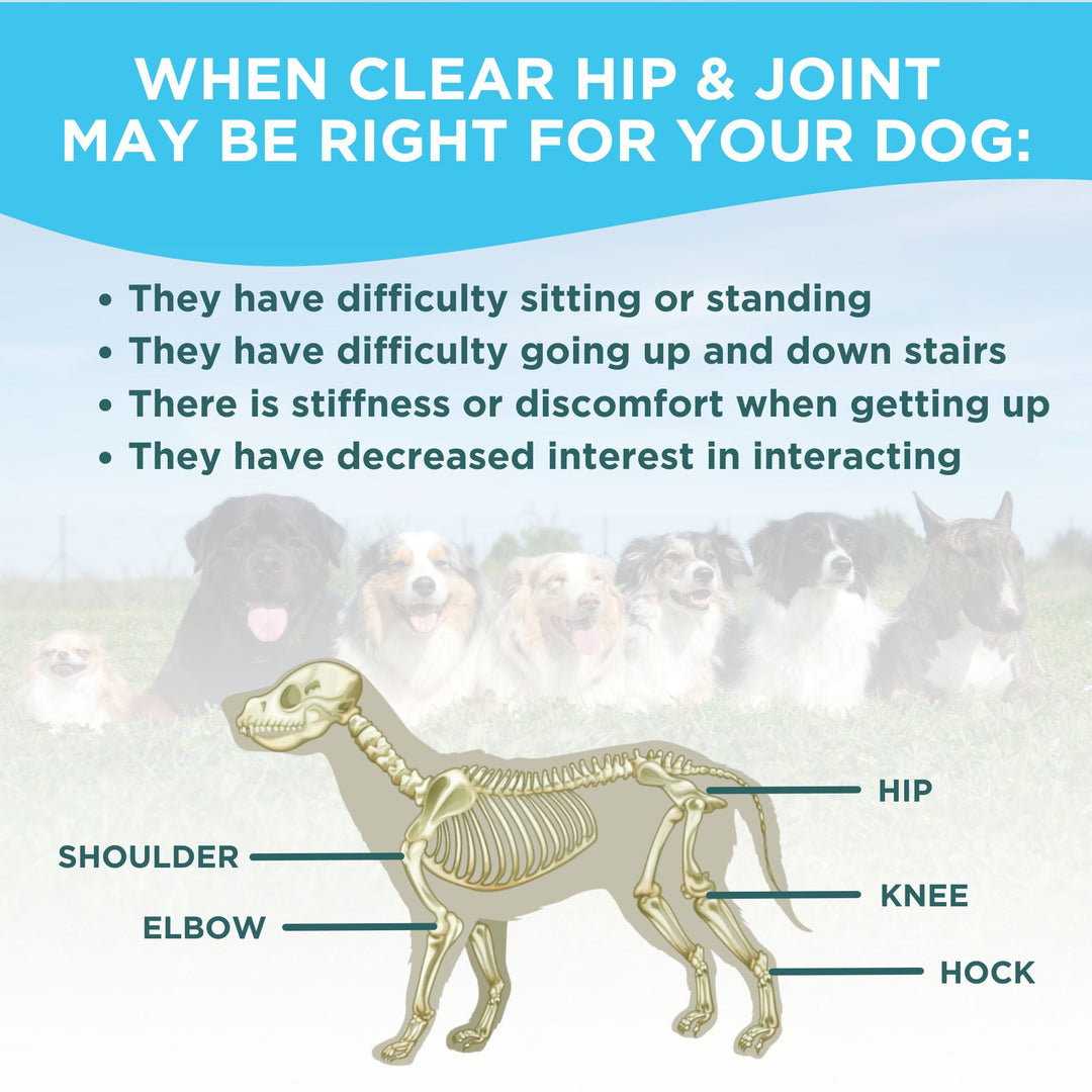 Clear Hip & Joint Health for Dogs