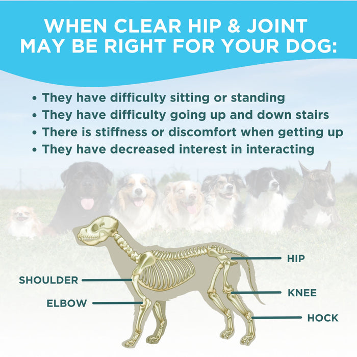 Clear Hip & Joint Health for Dogs