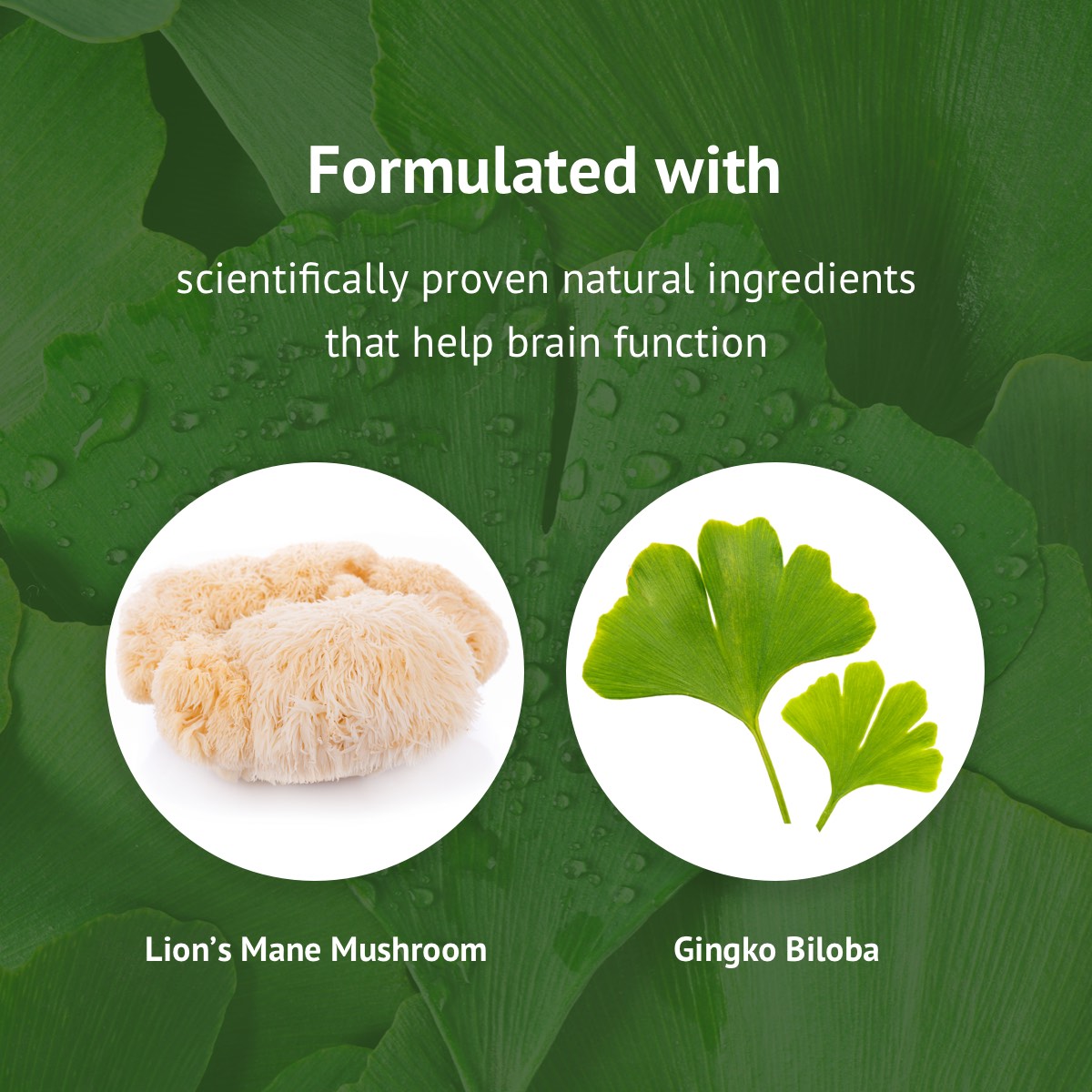 Powerful ingredients Lions Mane Mushrooms and Gingko biloba produce powerful results
